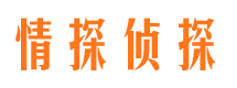 汉阳侦探公司